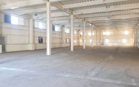 正大園工業區合法廠房(可廠登)