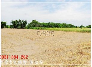 近蕭壠園區面寬農地H。蝸牛居0931384262
