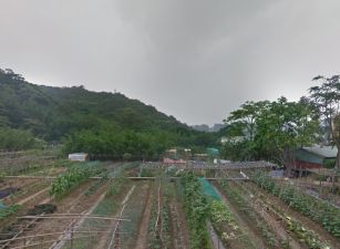 蘆竹仁愛路都內農地