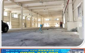 大園工業區合法挑高鋼構廠房