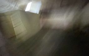 樹林低總價廠房