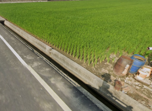 大寮區磚子磘段大面寬度內農地