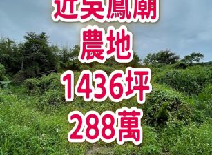 近中埔吳鳳廟農地288萬