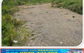 觀音雙快速路旁工業地