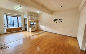 文雅國小2房公寓09-561    05-2310186