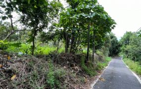 近中埔吳鳳廟農地09-021   05-2337228