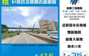 61旁合法挑高廠房156