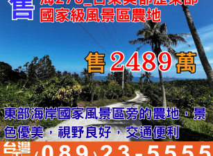 海275_台東美都歷東部國家級風景區農地