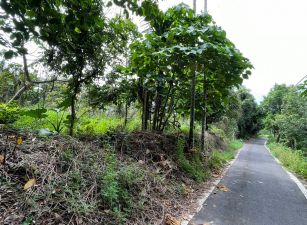 近中埔吳鳳廟農地09-021   05-2337228