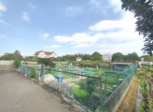 平鎮開心小農地