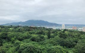 獨家專售｜水色秀麗美式新古典海景收藏大邸
