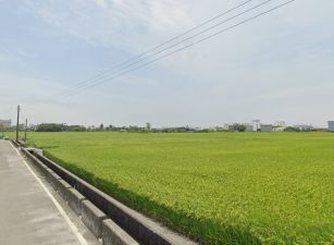 埔心鄉霖興方正田