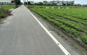 雲林縣虎尾雙面路農地(2)