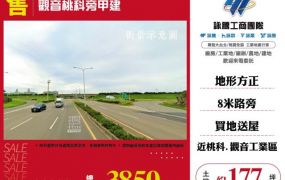觀音桃科旁甲建176