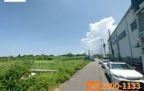觀音區台31工業地495
