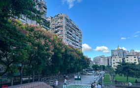 【親友專約】中信承祐推薦☘運動公園三樓☘車位可抽