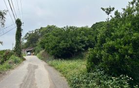 東勢頂上近餐廳景觀地