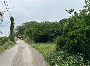 東勢頂上近餐廳景觀地