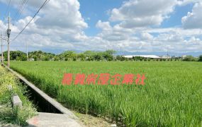 民雄江厝店都計農地28-004