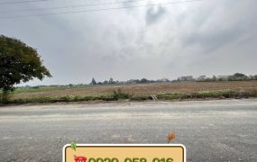 近民雄1高交流道農地1792坪