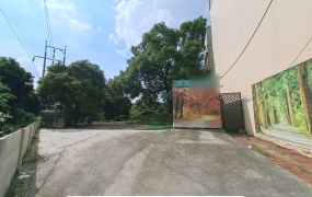 新市潭頂休閒農地
