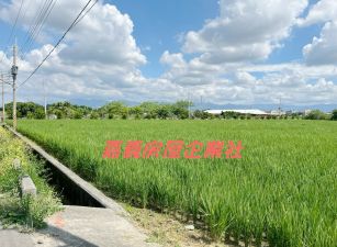 民雄江厝店都計農地28-004
