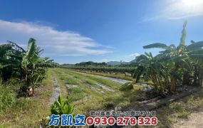玉井前後路2分半一般農地