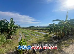 玉井前後路2分半一般農地