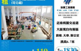 部桃旁大面寬挑高RC廠房(可分租)155