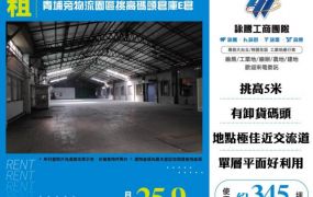 青埔高鐵旁腹地碼頭鋼構倉庫E倉142