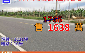 市339大馬路大面寬農地