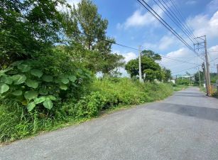 嘉市東義路小筆農地
