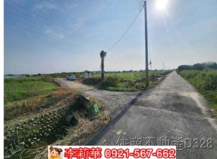 鹽水區大埔段有水電農地