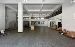 觀音氣派腹地廠房廠房/工業地廠房買賣租賃
