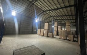 林口工一挑高廠房/工業地廠房買賣租賃