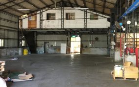 三鶯挑高工業廠房(可廠登)