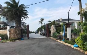 四面臨路 青埔 高鐵 高鐵南路 中正路