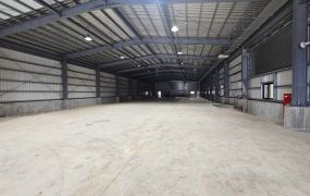 大園高鐵旁挑高6米鋼構廠房