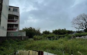 大園一般農3間合法農舍+倉庫