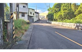 關廟新光國小臨路小農地