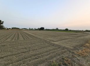台南鹽水田寮2.8分方正美農地