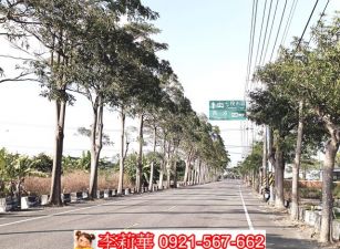 佳里12米路林蔭大道美農地