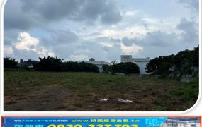 鶯歌可分割乙工220