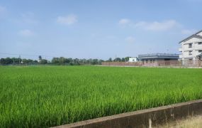 田中彰化高鐵旁3分田