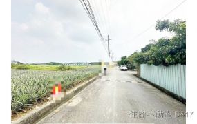 關廟埤子頭村內一般農地