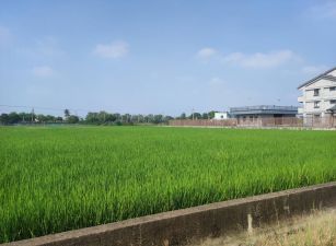 田中彰化高鐵旁3分田