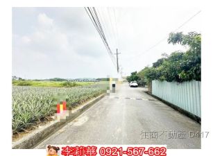 關廟埤子頭村內一般農地