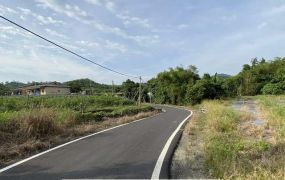 玉井走馬瀨2.3分有水電農地