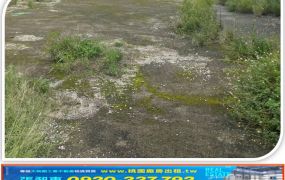 大園低總價甲建
