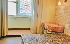 永康區 -  近奇美、南台 陽台套房 - 198萬